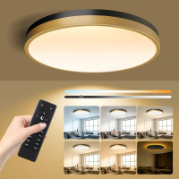 C&G Home 13 Inch Flush Mount Ceiling Light With Remote Control & Night Light, 5CCT Dimmable Ceiling Light Fixture, 25W 2500LM 2700K-6500K Adjustable LED Ceiling Lights For Bedroom Kitchen Living Room $299