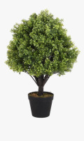 Primrue Hallam 24-Inch Indoor or Outdoor Faux Boxwood Topiary in Pot New In Box $199