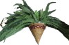 Nearly Natural 50 in. Giant Boston Fern Artificial Plant in Hanging Cone New In Box $299 - 2