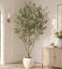 Ebern Designs 8FT Artificial Olive Tree with Large White Planter New in Box $499