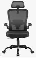 Inbox Zero Everdene Office Ergonomic Task Chair in Black New Shelf Pull $499