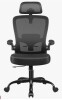 Inbox Zero Everdene Office Ergonomic Task Chair in Black New Shelf Pull $499