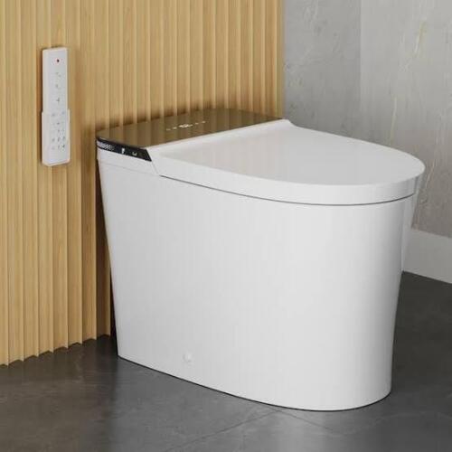 DeerValley Smart Elongated Bidet Toilet with Foam Dispenser, Auto Flush, ADA Comfort Height, Heated Seat, Warm Air Dryer, Built-in Tank & Pump DV-1S0290 in Box $1099