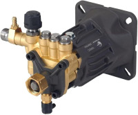 Canpump CH 2019 EH: 2000 psi @ 1.9 US gpm Electric Pressure Washer Replacement Pump, 5/8-inch Horizontal Shaft, 3450 RPM $299