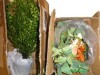 Birch Lane&trade; Queensland 18'' Faux Maidenhair / Red Barrel Studio&reg; 2 Pcs Arched Floral Artificial Flower Centerpiece For Wedding Decoration New In Box Assorted $299 - 3