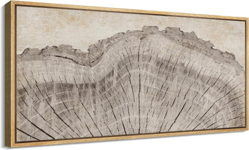 SIGNFORD Extra Large Framed Canvas Print Wall Art Tree Rings in Neutral Tones Illustrations Modern Art Calm Warm for Living Room, Bedroom, Office - 60"x30" New In Box $299