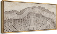 SIGNFORD Extra Large Framed Canvas Print Wall Art Tree Rings in Neutral Tones Illustrations Modern Art Calm Warm for Living Room, Bedroom, Office - 60"x30" New In Box $299
