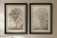 Ashbrook Sepia Tree Study Vintage Sketch - Set of 2 Premium Framed Wall Art Print on Paper 26"x36" New In Box $299