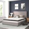 Flash Furniture Queen Light Gray Tufted Bed with Headboard New In Box $499