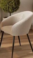 Ivy Bronx Avianah 18'' H Upholstered Armchair in White New in Box $299