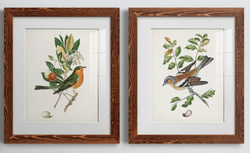 Red Barrel Studio&reg; "Antique Bird, Botanical And Egg I" 2 - Pieces Painting Print (Set of 2), 24" x 36" $199