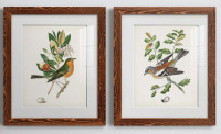 Red Barrel Studio&reg; "Antique Bird, Botanical And Egg I" 2 - Pieces Painting Print (Set of 2), 24" x 36" $199