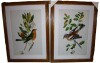 Red Barrel Studio&reg; "Antique Bird, Botanical And Egg I" 2 - Pieces Painting Print (Set of 2), 24" x 36" $199 - 2
