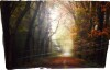 Winston Porter "Path Of Dreams" Canvas, 32" x 48" New In Box $299 - 2