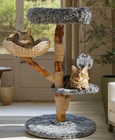 Tucker Murphy Pet&trade; Real Solid Wood Cat Tree with Toy Ball & Basket $299