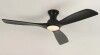 Wrought Studio&trade; Karlena 52'' Dimmable Ceiling Fan with Lights and Remote Control 3CCT Reversible DC Motor Timer Memory New In Box $299