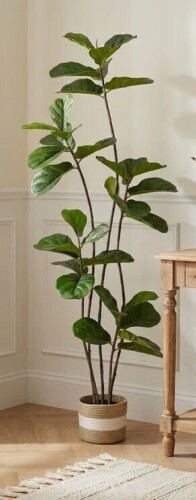 Primrue 71" Faux Fiddle Leaf Fig Tree, Dense Lush Green Leaves, Realistic Artificial Ficus Lyrata in Pot, Maintenance-Free Indoor Floor Plant for Home Office Living Room Decor New In Box $199