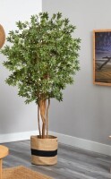 Primrue 72'' Faux Maple Tree in Planter New in Box $499