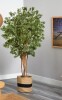 Primrue 72'' Faux Maple Tree in Planter New in Box $499