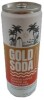 Gold Soda - Natural Ingredients - Organic Cane Sugar - Non-GMO - No Preservatives - Monk Fruit - Sparkling Water - Made with Natural and Organic Flavors - Ginger Apple 12 fl oz - 2