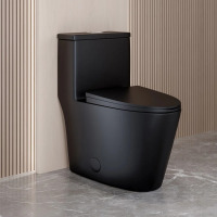 Swiss Madison Dreux One Piece Elongated Dual Flush Toilet with 0.95/1.26 GPF in Matte Black SM-1T181MB, New in Box $699