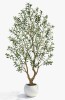 Vitalismo Artificial Olive Tree With Fruit In White Planter, Fake Potted Topiary Tree For Home & Office, 5 ft. New In Box $299