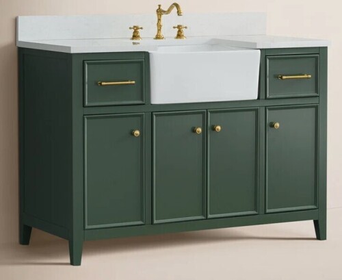 Birch Lane Aisa 48" Single Bathroom Vanity Cabinet With Top in Evergreen/Gold New in Box $2099