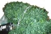 Hokku Designs Artificial Topiary Boxwood Double Ball, 36 inch Faux Boxwood Plant Balls, Fake Silk Tree Look Real, Easy Assembly for Decor Front Porch Outdoor Patio Garden Balcony Backyard Indoor New In Box $199 - 2