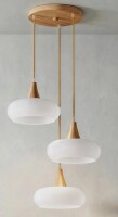 George Oliver Modern Wood Dome Pendant Light With Adjustable Hanging Length And Glass Shade 3-light New In Box $399