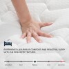MOLBIUS 10" Medium Firm Feel Memory Foam Mattress, Queen New In Box $799