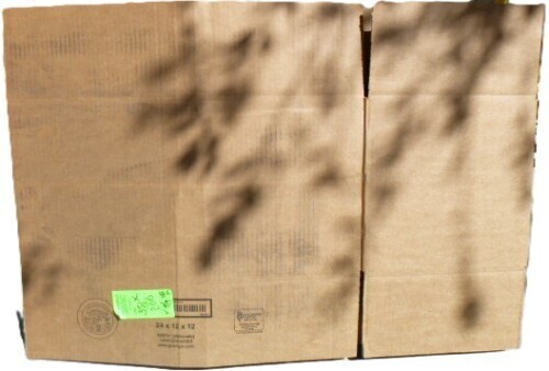 Cardboard Box 24" x 12" x 12" New