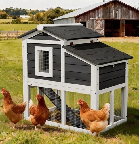 Tucker Murphy Pet Outdoor Wooden 2-tier Chicken Coop With Tray And Openable Roof for 2 Adult Chickens New in Box $399