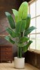 Bay Isle Home&trade; Bird Of Paradise Plant Artificial 6Ft, Faux Plant Indoor Tall New Shelf Pull $299
