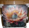 Bungalow Rose Rozalija Orange Green Cactus Flower III - Cactus Framed Canvas Print, 36" x 36" New In Box $299 - 2