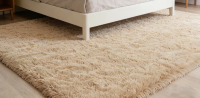 Mercer41 Soft Beige Plush Shag Rug, Warm Cozy Carpet for Living Room, Nursery and Dorm Room, 9' x 12' $299