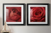 Wexford Home "Sincere Red" 2 - Pieces (Set of 2), 20" x 20" $199