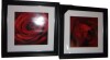 Wexford Home "Sincere Red" 2 - Pieces (Set of 2), 20" x 20" $199 - 2