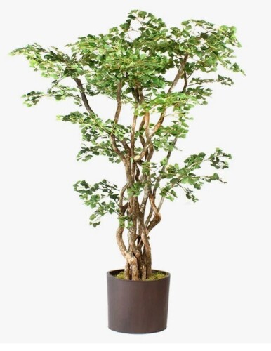 Dalmarko Designs 96'' Faux Eucalyptus Tree in Metal Planter New in Box $1699