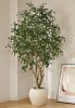 Primrue Adcock 8' H Artificial Ficus Tree in 18" White Planter New in Box $699