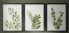 Wildon Home&reg; Botanical Wash I -Custom Framed Premium Print W Matt - 3 Pieces, 20" x 30" Each, New In Box $299