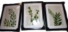 Wildon Home&reg; Botanical Wash I -Custom Framed Premium Print W Matt - 3 Pieces, 20" x 30" Each, New In Box $299 - 2