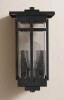 Joss & Main Lucien Nikole 6.5 Inch Outdoor Wall Sconce in Black New In Box $299