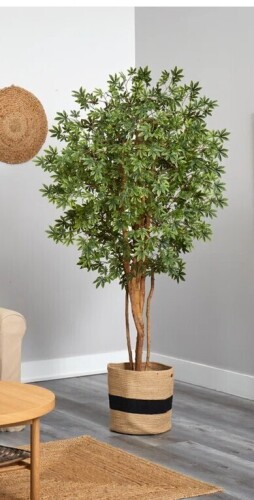 Primrue 72'' Faux Maple Tree in Planter $499