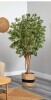 Primrue 72'' Faux Maple Tree in Planter $499