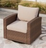 Winston Porter Dynasia PE Rattan Swivel Rocking Outdoor Chair with Cushions New in Box $499