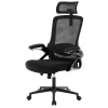 Inbox Zero Ergonomic Office 400 LBS Capacity Chair with Adjustable Lumbar Support, Breathable Mesh & Ergonomic Design with Thickened Cushion, Black, New in Box $299