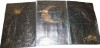 Dakota Fields Gold Sun Moon Star Floral Canvas Prints, Dark Night Sky Celestial Botanical Triptych Wall Art (1) (Set of 3), 16" x 24" New In Box $299 - 2