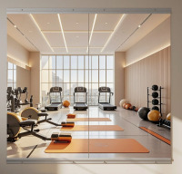 Ebern Designs 60 X 33 Inch for Each Piece,(2 Pieces Set) Home Gym Mirror Large Full Body Mirror For Yoga, Frameless Wall Miror New In Box $399