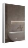 ICO Jackson 24 x 36 in.LED Medicine Cabinet New In Box $1899