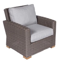 RST Brands Cannes Outdoor Club Chair in Brown Similar to Picture New $699